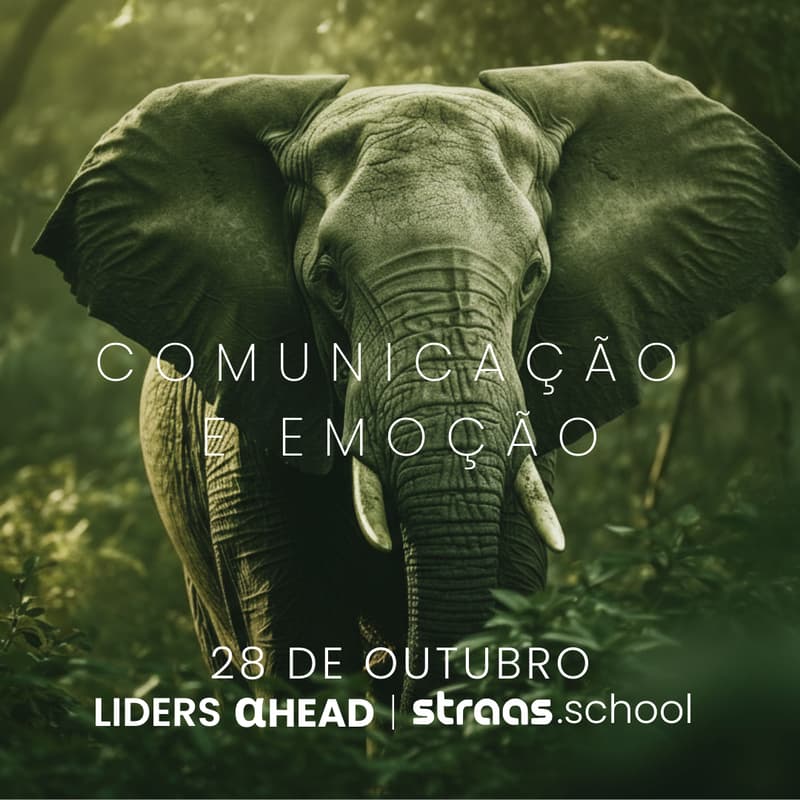 Cover Image for LIDERS  AHEAD: INTELIGÊNCIA COMUNICACIONAL E EMOCIONAL