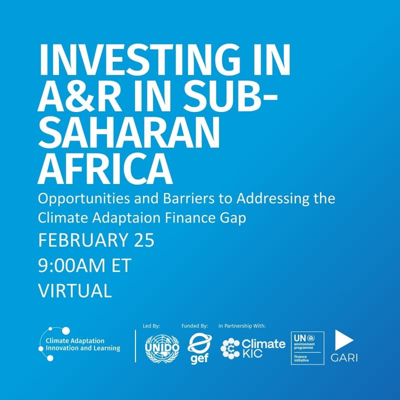 Cover Image for Webinar: Investing in A&R in Sub-Saharan Africa