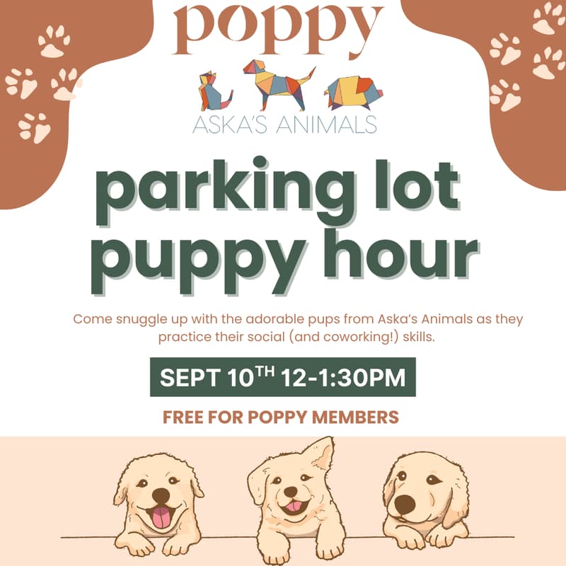 Cover Image for Parking Lot Puppy Hour @ Poppy