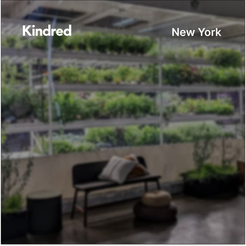 Cover Image for Kindred NYC: Virtual Gathering for New Members