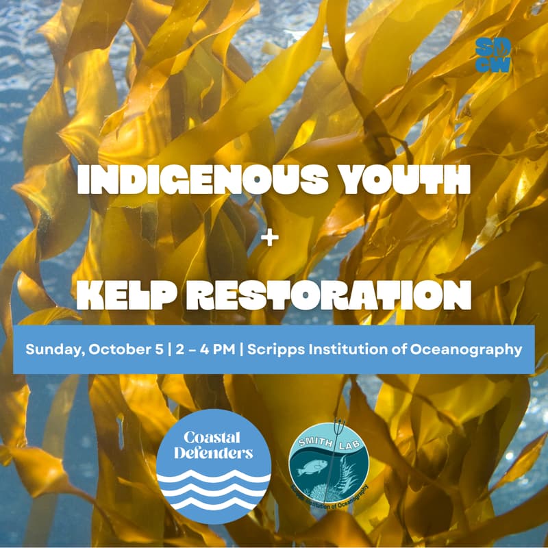 Cover Image for Indigenous Youth + Kelp Restoration