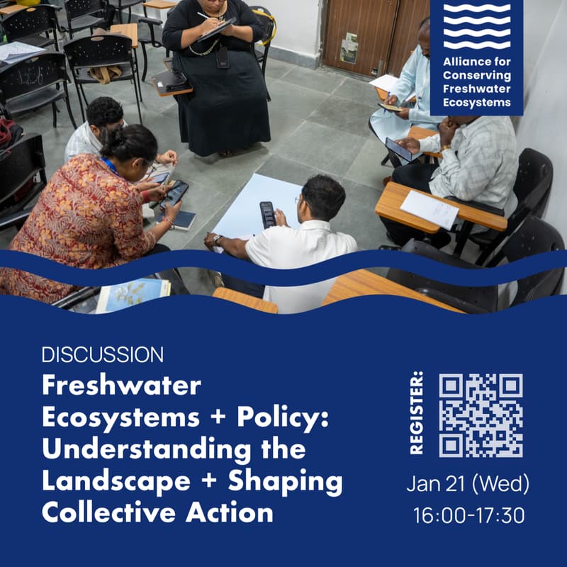 Cover Image for Freshwater Ecosystems & Policy: Understanding the Landscape and Shaping Collective Action