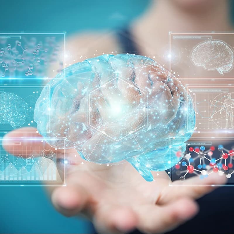 Cover Image for Brain Health, Natural Capital & Collective Stewardship: Advancing the Brain Economy for a Well-Being Future