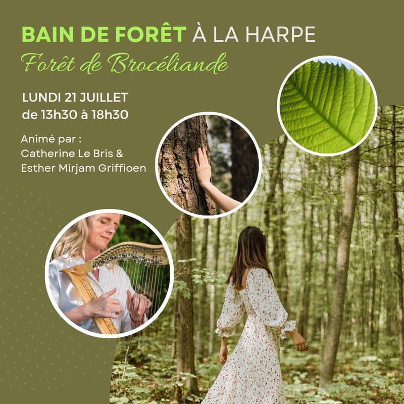 Cover Image for Bain de Forêt à la Harpe