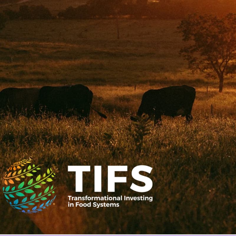 Cover Image for Retained Producer Income: Discussion & Design of Farm Finance for the Central Coast (SB County)