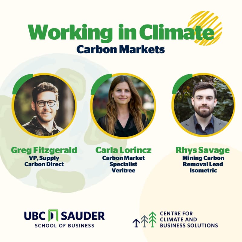 Cover Image for Working in Climate Series: Carbon Markets