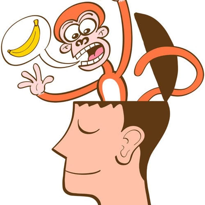 Cover Image for Hacking Your Attention: A Practical, Step-by-Step Intro to Meditation