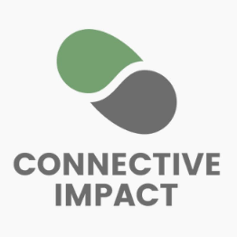 Cover Image for Building Bridges, Strengthening Connections for Greater Impact