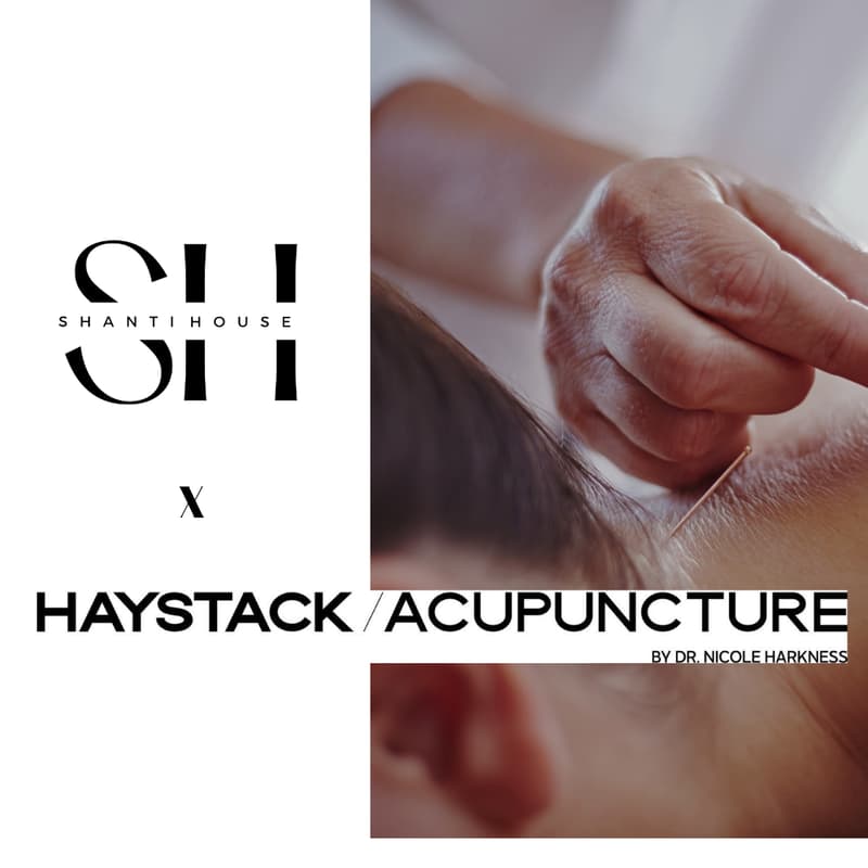 Cover Image for Blissful yoga + acupuncture by Shanti House x Haystack