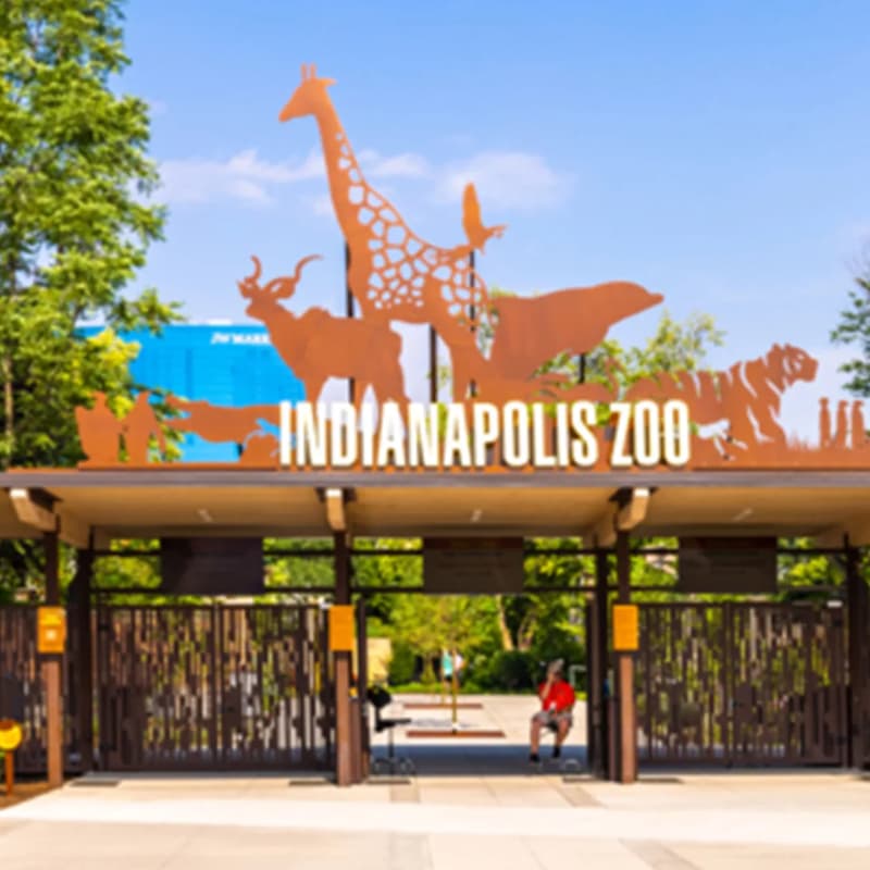 Cover Image for Zoo Meet Up