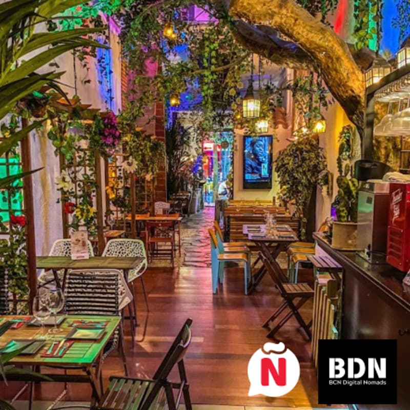 Cover Image for Vivo Español y Digital Nomads