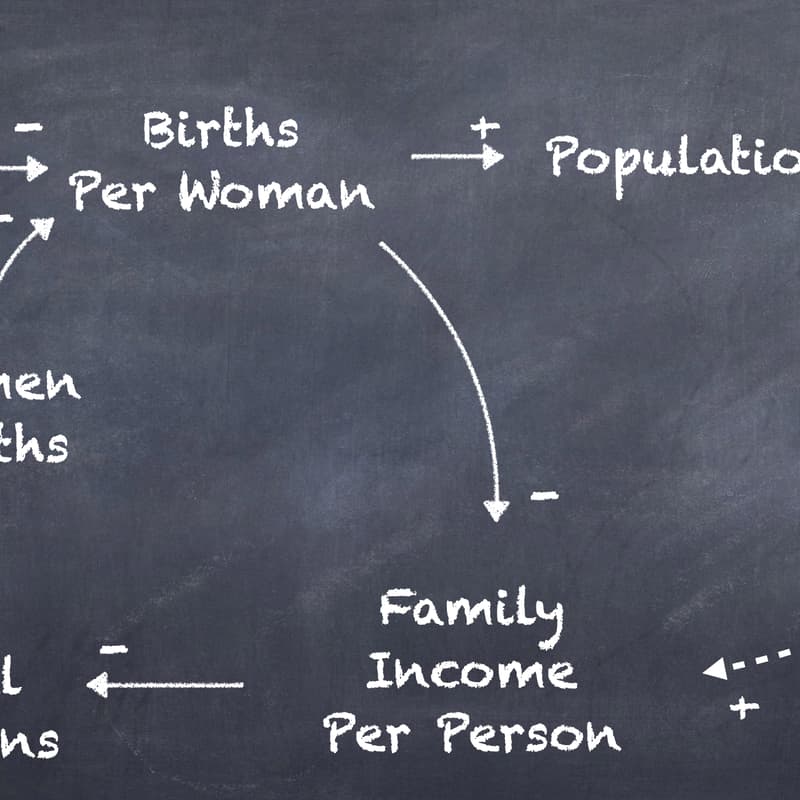 Cover Image for Systems Thinking 101
