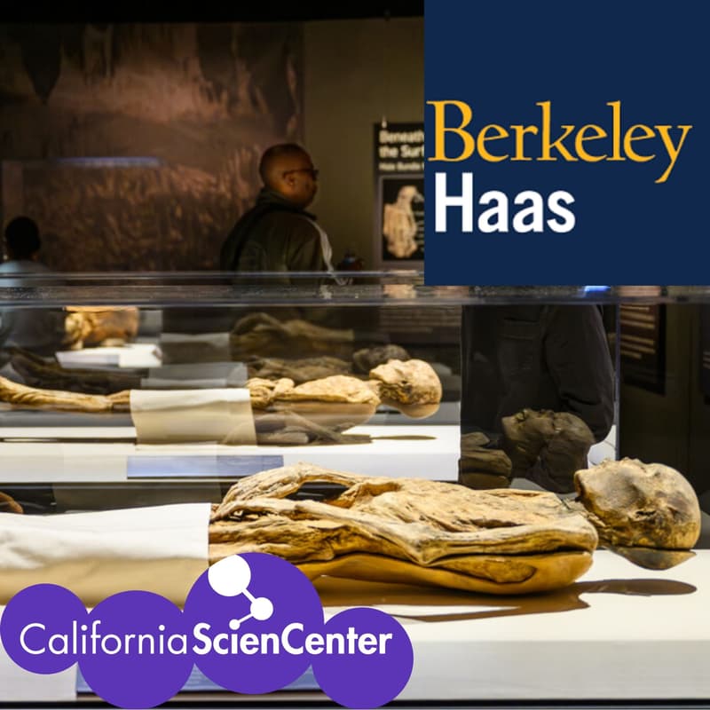 Cover Image for BerkeleyHaas LA Visits CA Science Center: A Behind-the-Scenes Tour + "Mummies of the World" Exhibit