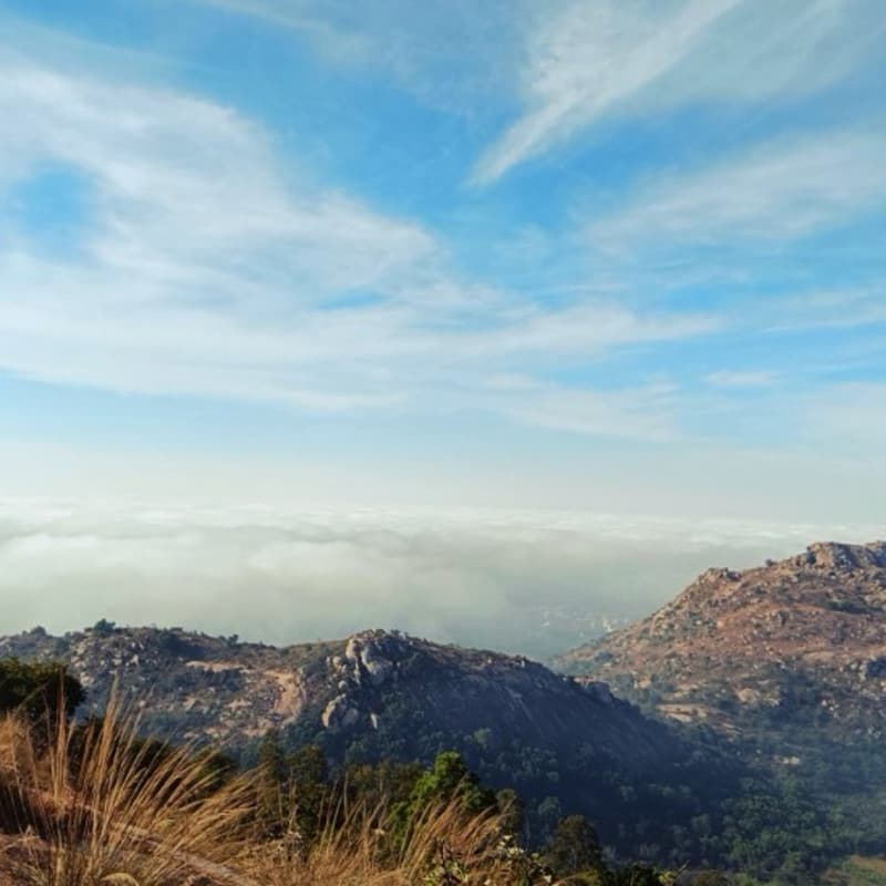 Cover Image for Sunrise Trek Alert: Kaiwara Betta ⛰️