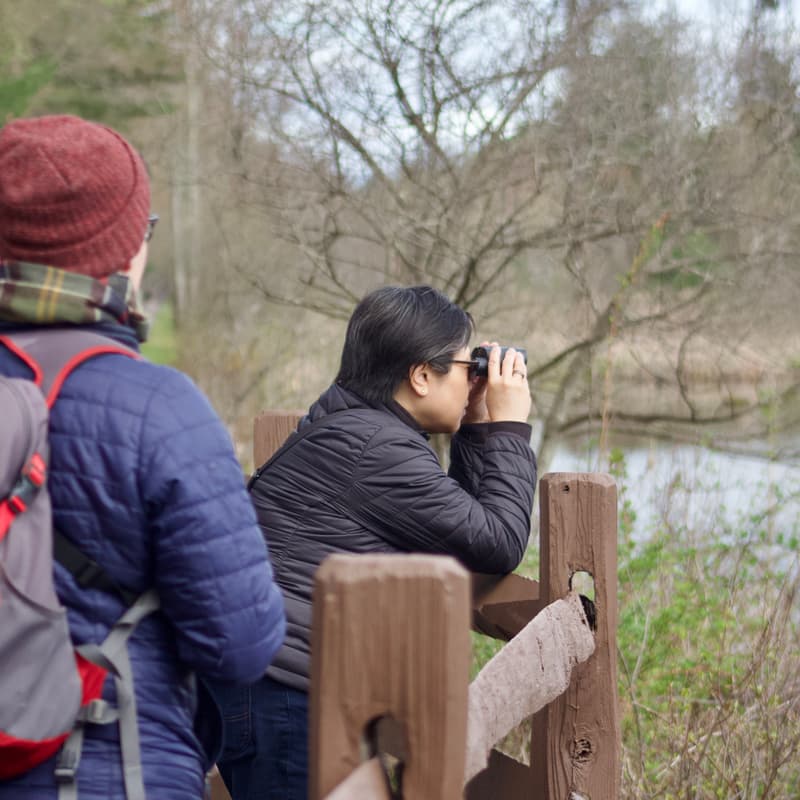 Cover Image for Ducks & Cocoa - Western Massachusetts