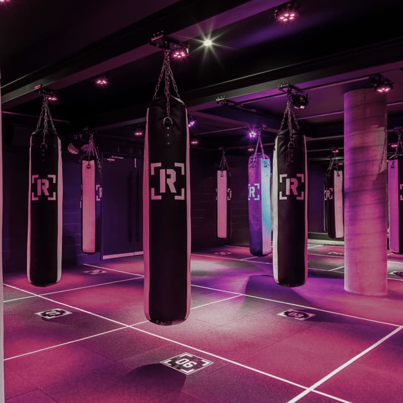 Cover Image for Rumble & Reset