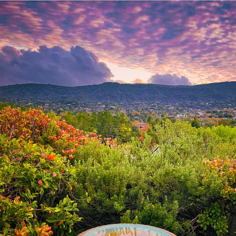 Cover Image for Cultivating Joy — Retreat Day