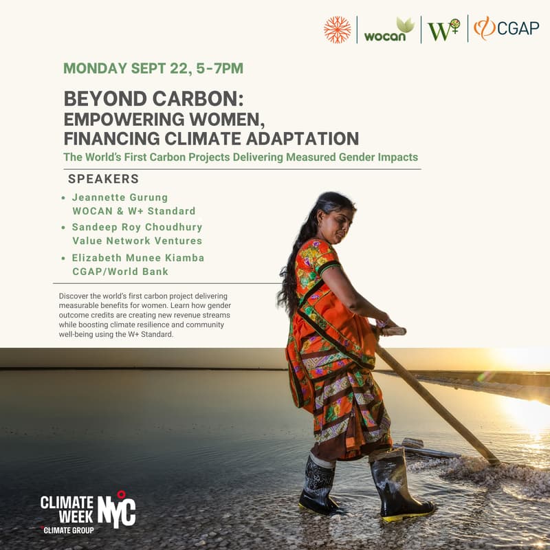 Imagem de capa para Beyond Carbon: Empowering Women, Financing Climate Adaptation
