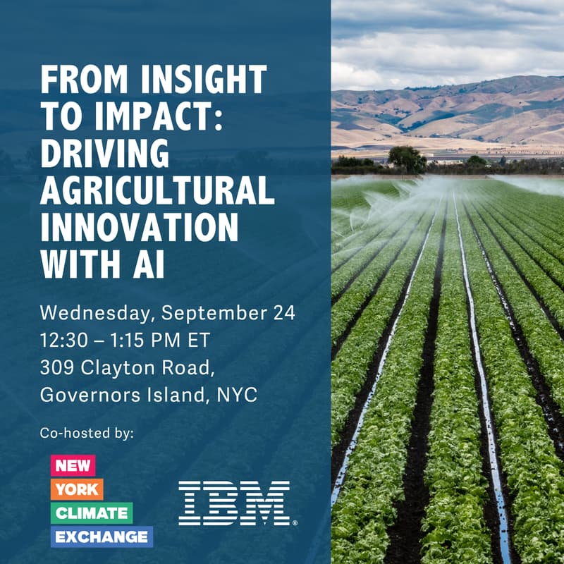 Cover Image for From Insight to Impact: Driving Agricultural Innovation with AI