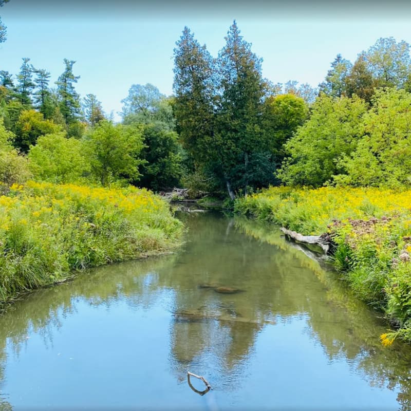 Cover Image for Greenwood Conservation Area (North of Ajax) – ~10 km hike