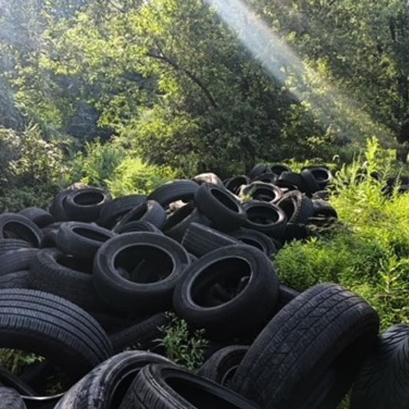 Cover Image for WEBINAR: Illegal Dumping in Philadelphia: Progress, Prevention, and What Comes Next
