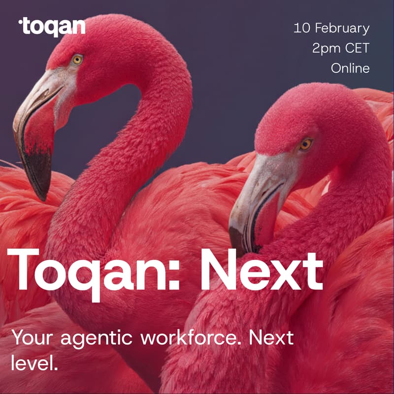 Cover Image for Toqan: Next