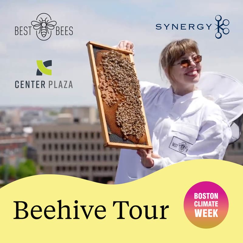 Cover Image for Beehive Tour with Best Bees