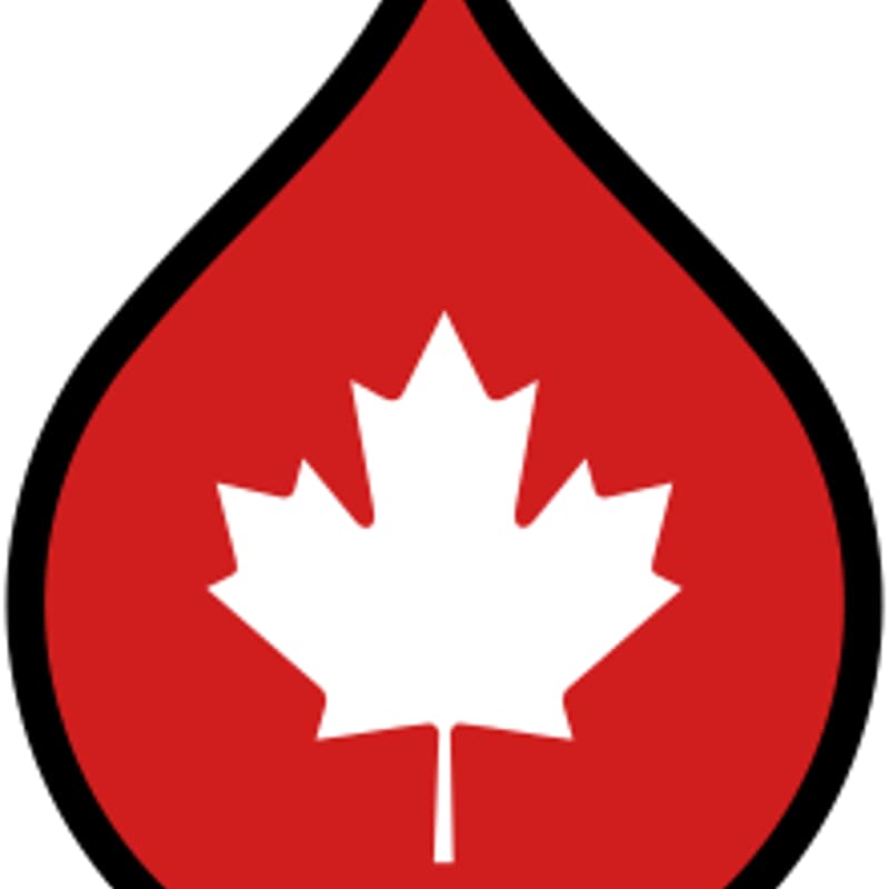 Cover Image for Waterloo Region Drupal Users Group November Meetup: AI Applications