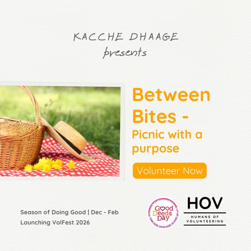 Cover Image for Between Bites- Where Comfort meets Curiosity