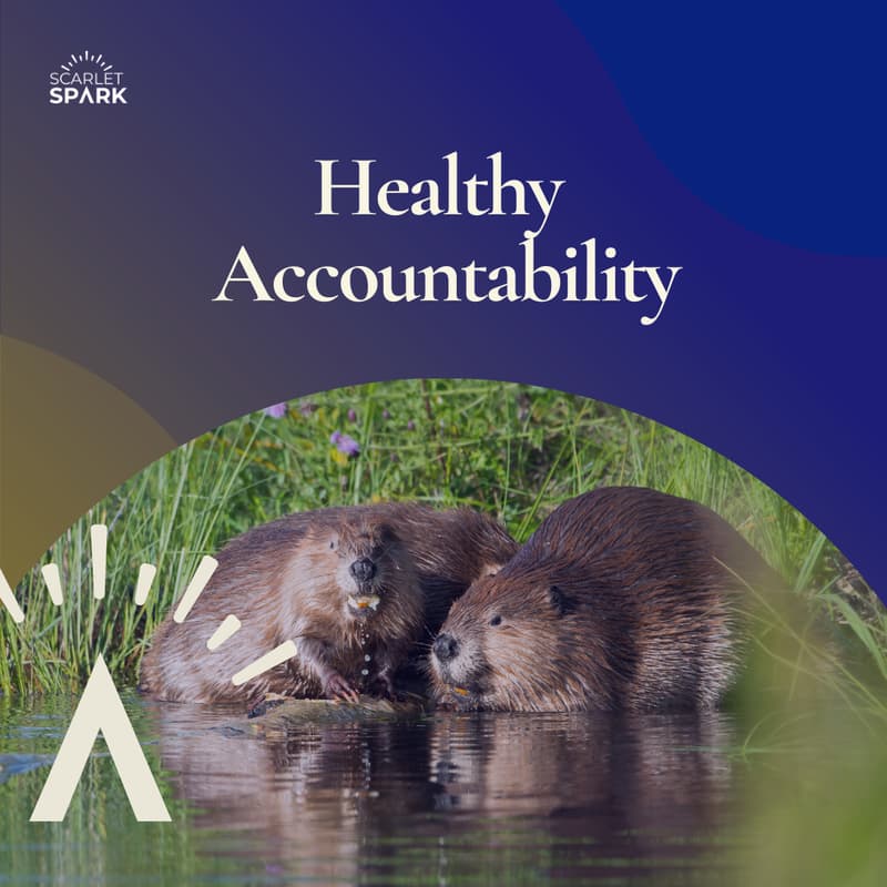 Cover Image for Healthy Accountability