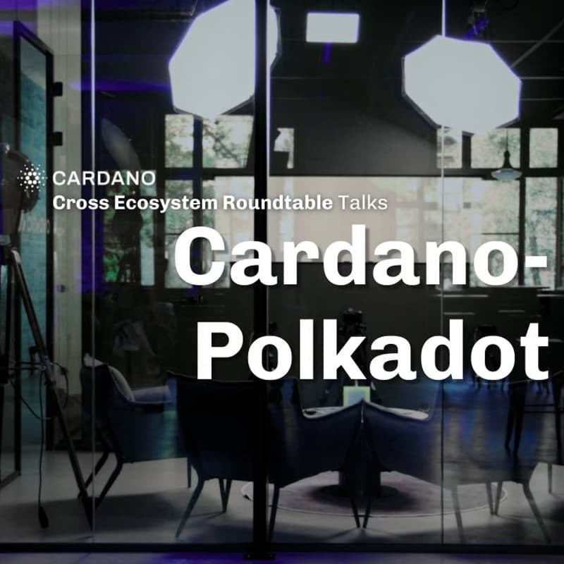 Cover Image for Cross Ecosystem Roundtable Talk (Cardano-Polkadot): Pathways to Long-Term Treasury Sustainability