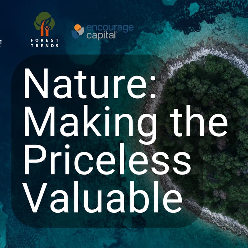 Cover Image for Nature: Making the Priceless Valuable - Round two!