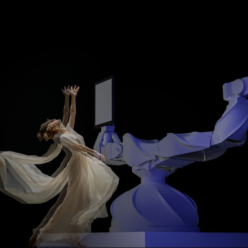 Cover Image for Struggle of Seeds