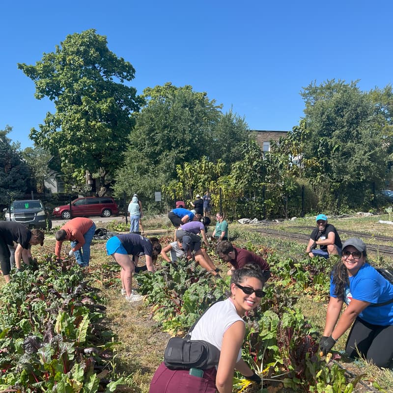 Cover Image for Volunteer with Heartland Human Care Services