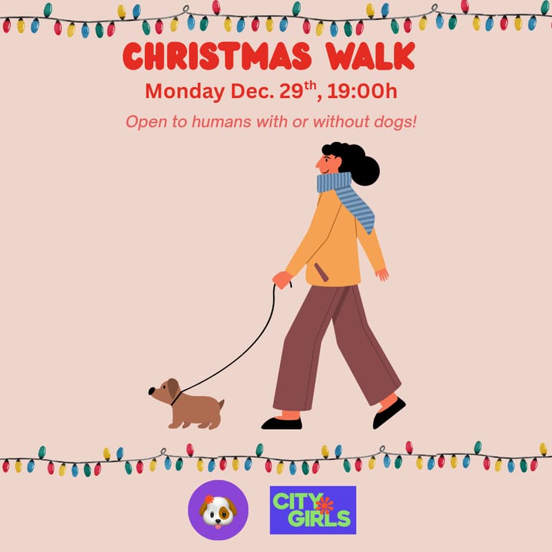 Cover Image for Christmas Walk