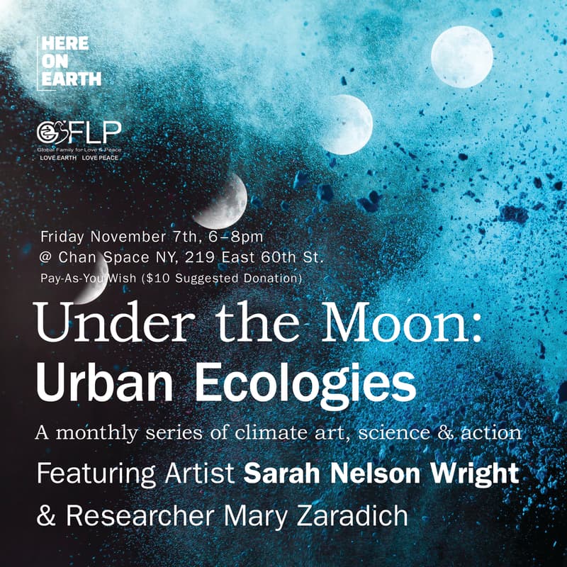 Cover Image for Under the Moon: Urban Ecologies