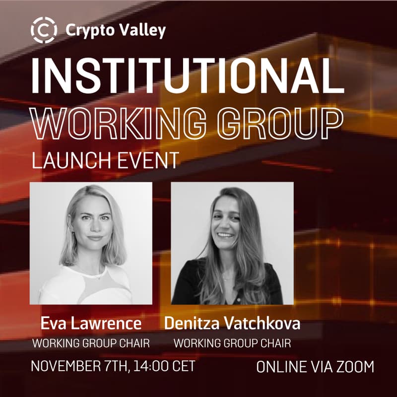 Cover Image for Institutional Working Group Launch Event