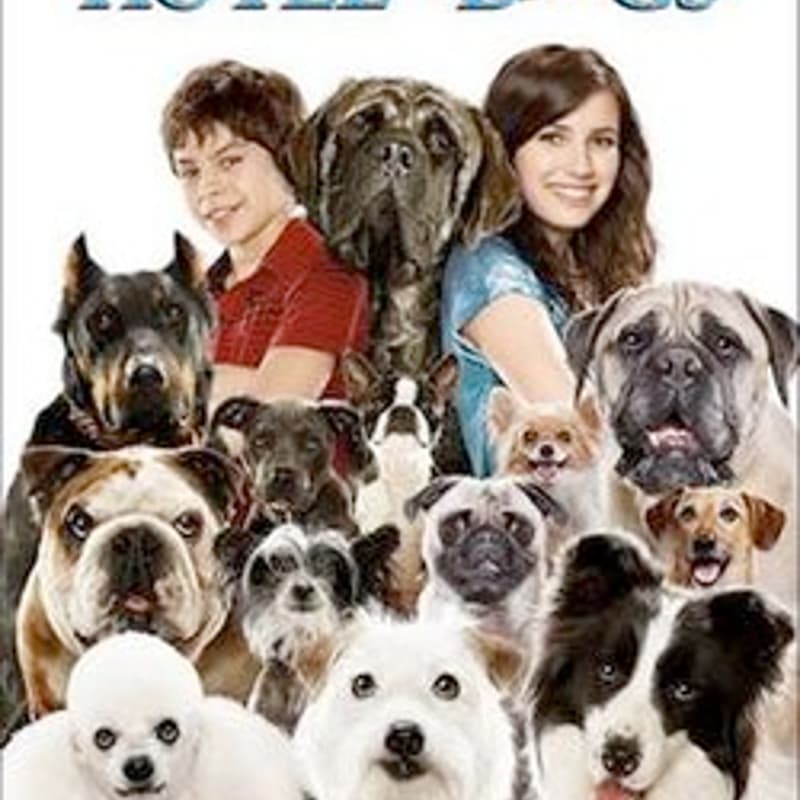 Cover Image for Fur-iday Night Flicks: Hotel for Dogs