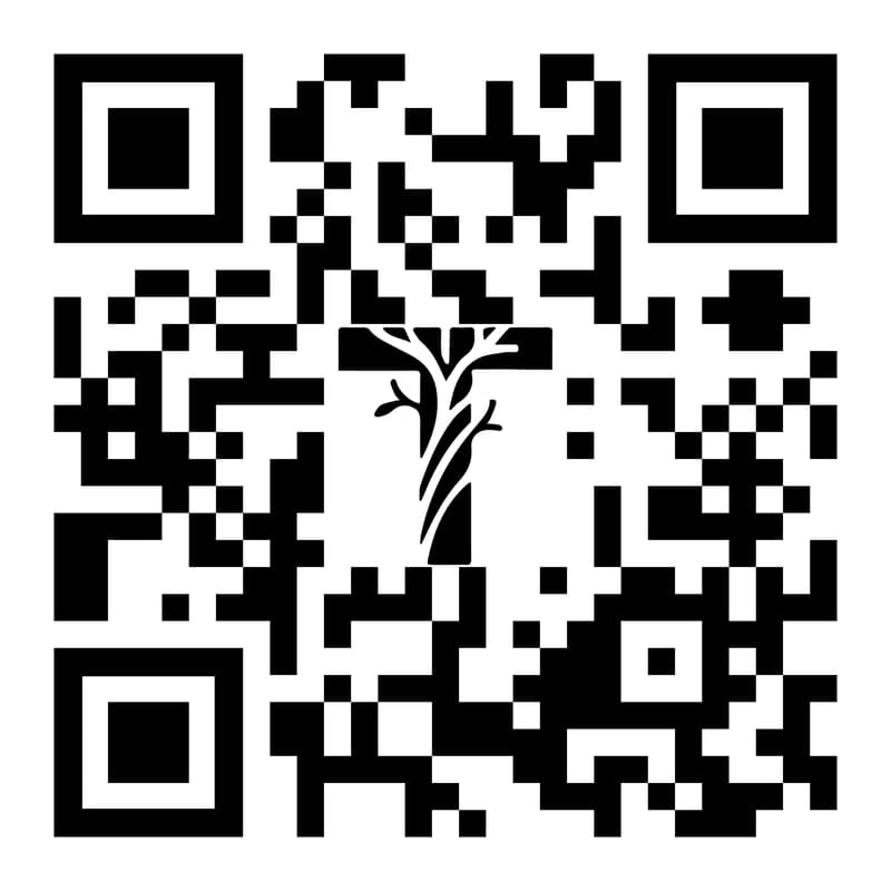 Cover Image for TRIIBE Founders Forum