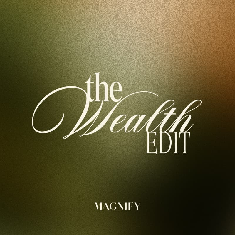 Cover Image for The Wealth Edit
