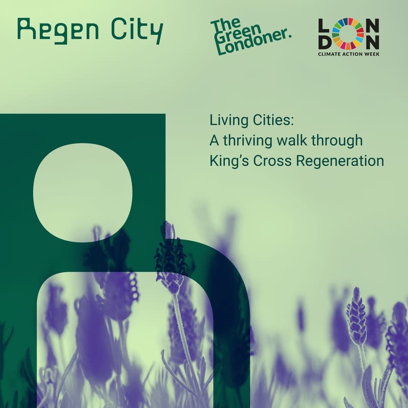 Cover Image for Living Cities:A nature walk through King's Cross Regeneration