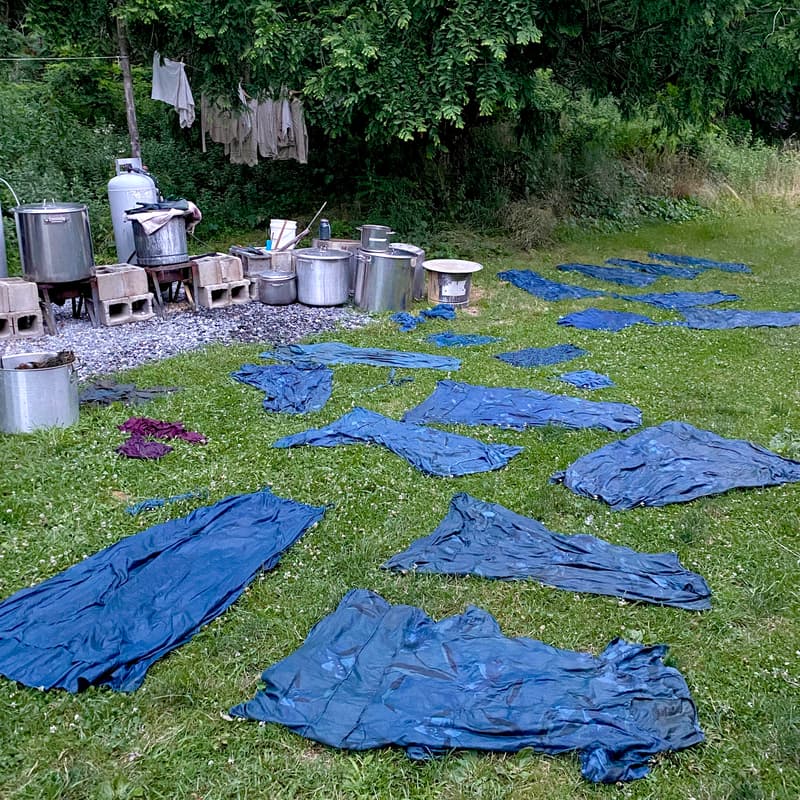 Cover Image for Indigo Community Dye Bath