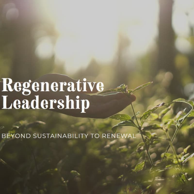 Cover Image for Regenerative Leadership - beyond sustainability to renewal