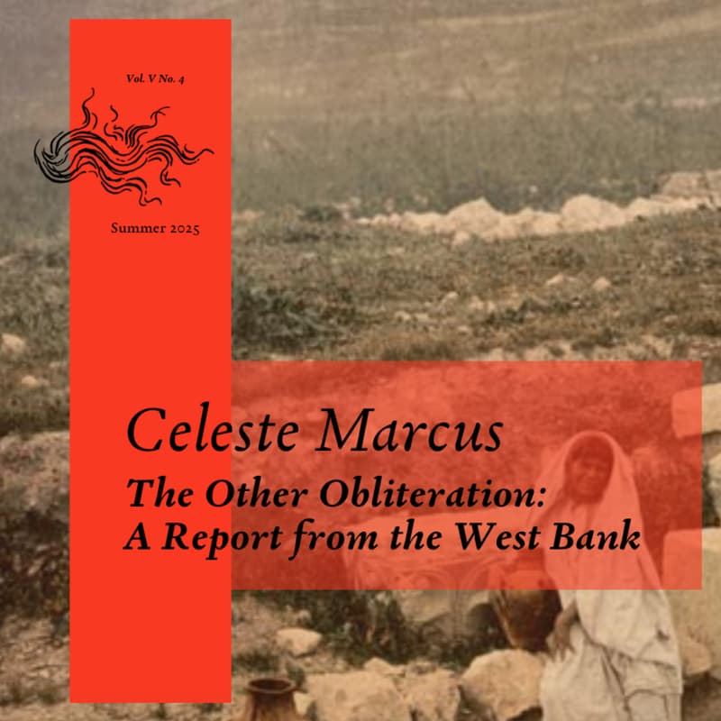 Cover Image for Talking Liberties No. 3, West Bank Terrorism and the Logistics of obliteration