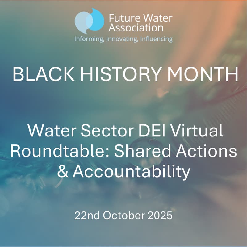 Cover Image for BLACK HISTORY MONTH: Water Sector DEI Virtual Roundtable: Shared Actions & Accountability