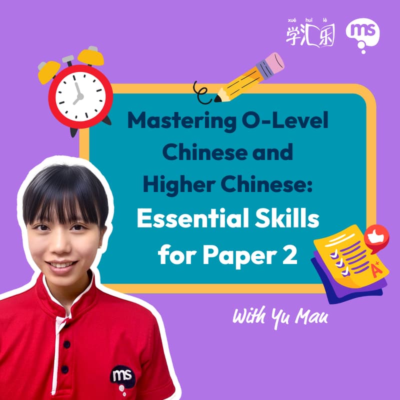 Cover Image for Mind Stretcher Mastering O-Level Chinese and Higher Chinese Paper 2 Super Session: Essential Skills with Head of Chinese Yu Man