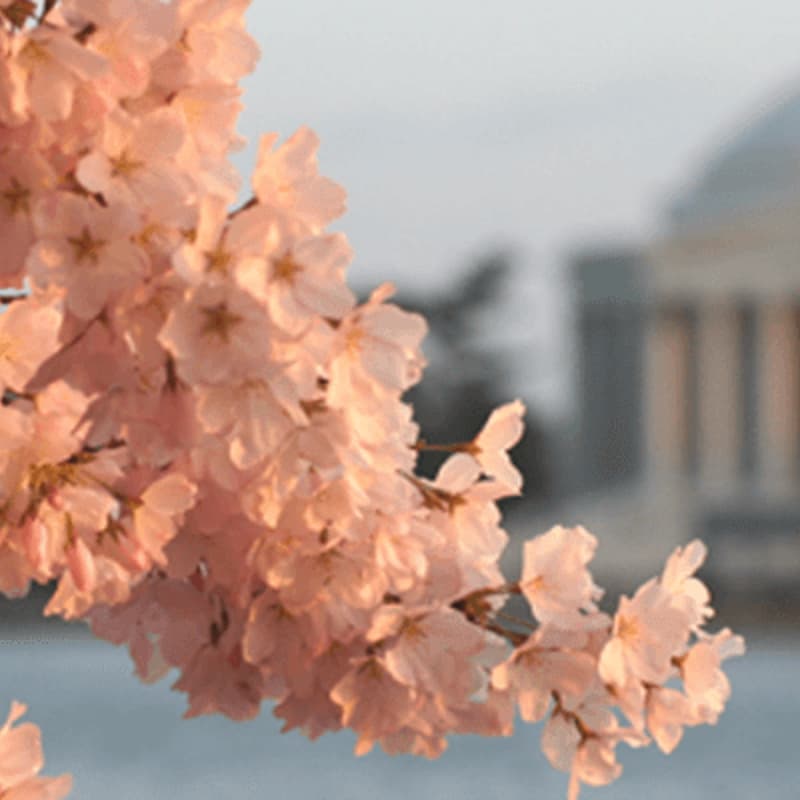 Cover Image for 2026 WASHINGTON YOUTH INNOVATION & STARTUP FORUM