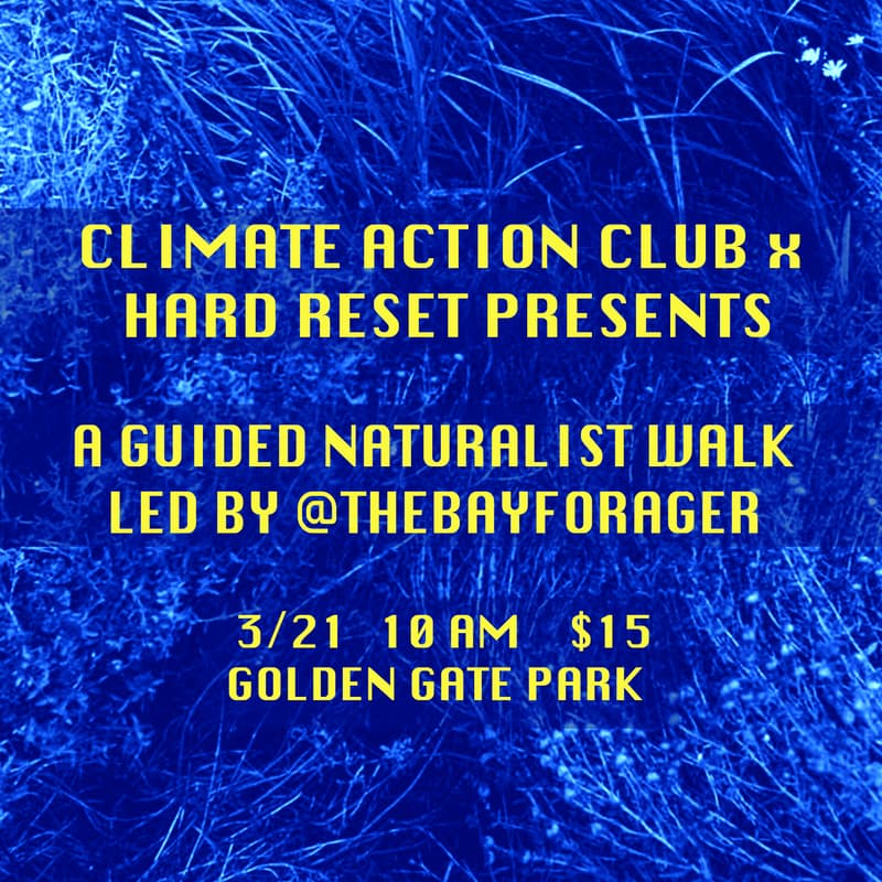 Cover Image for Hard Reset x Climate Action Club Presents: A GUIDED NATURALIST WALK led by @TheBayForager