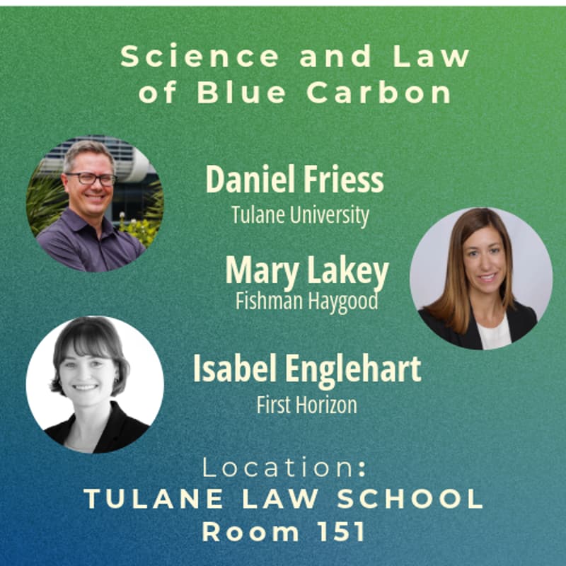 Cover Image for Science and Law of Blue Carbon