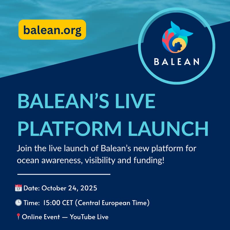 Cover Image for BALEAN’S LIVE PLATFORM LAUNCH